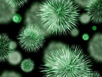 Mieux comprendre la différence entre une infection virale et bactérienne